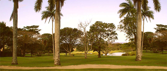 Golfbana i Sydafrika